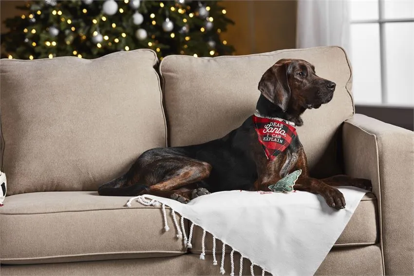 Christmas Pet Bandana & Toy Set - 3 Styles