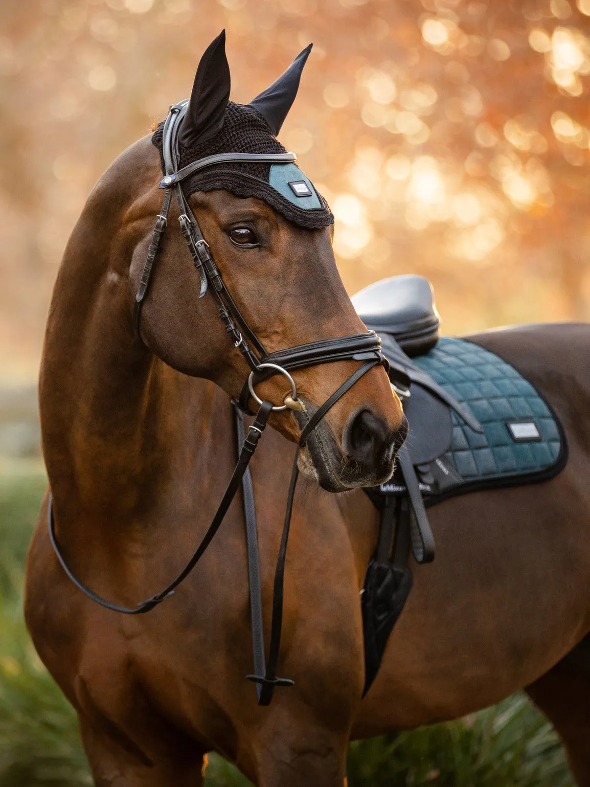 LeMieux Rhone Fly Hood