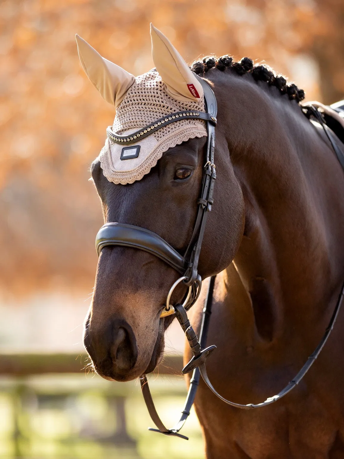 LeMieux Rhone Fly Hood