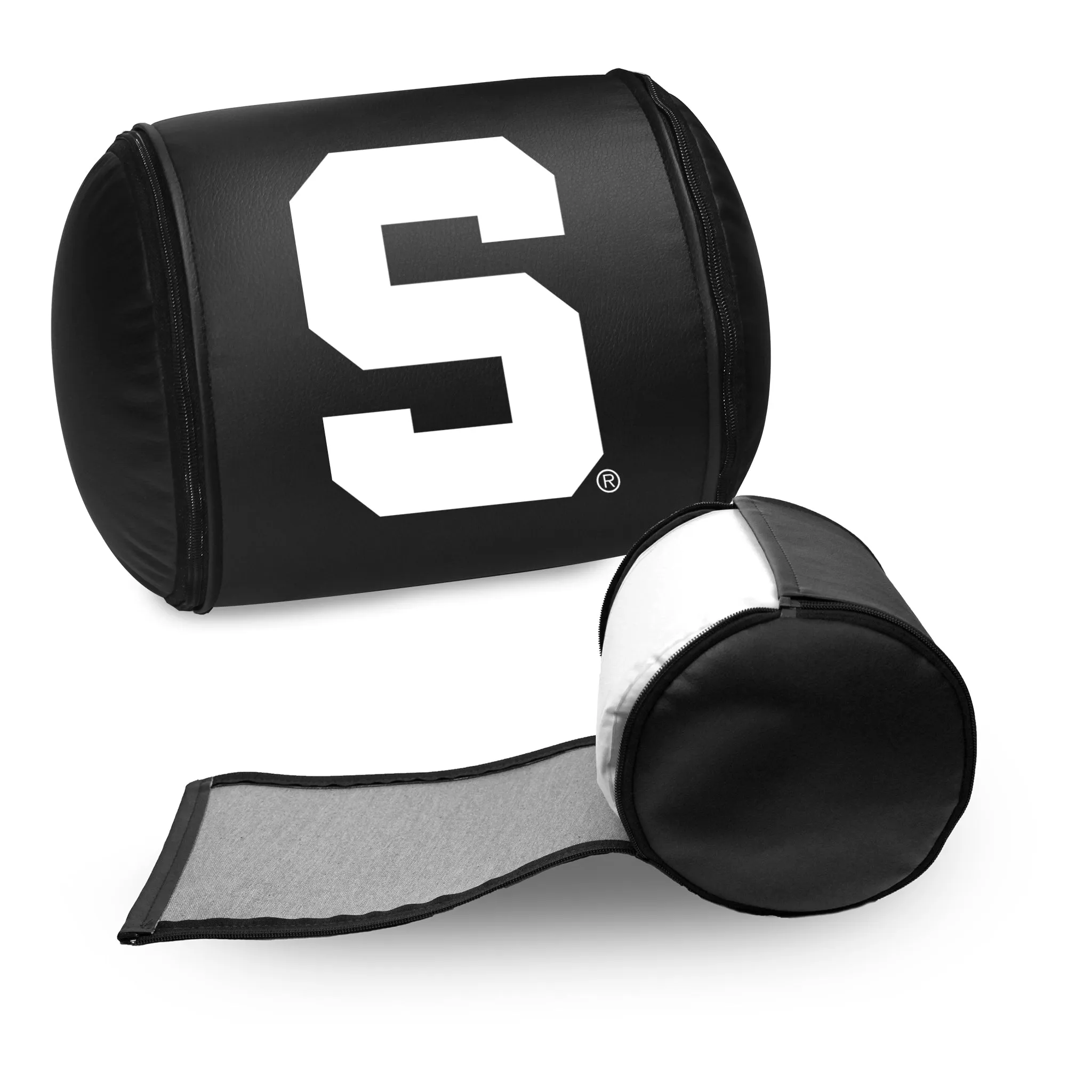 Michigan State Spartans Secondary Logo Panel