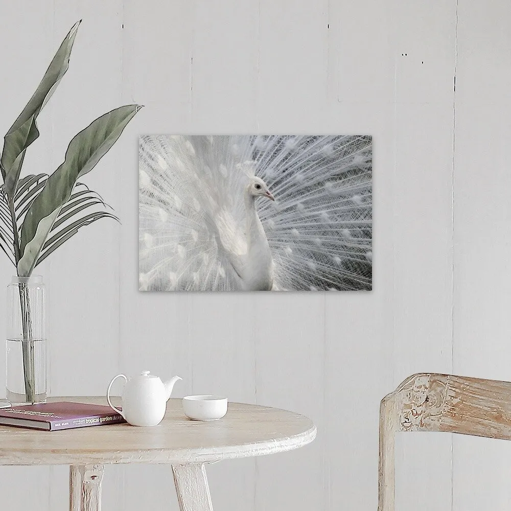 "As White As Snow" Canvas Wall Art