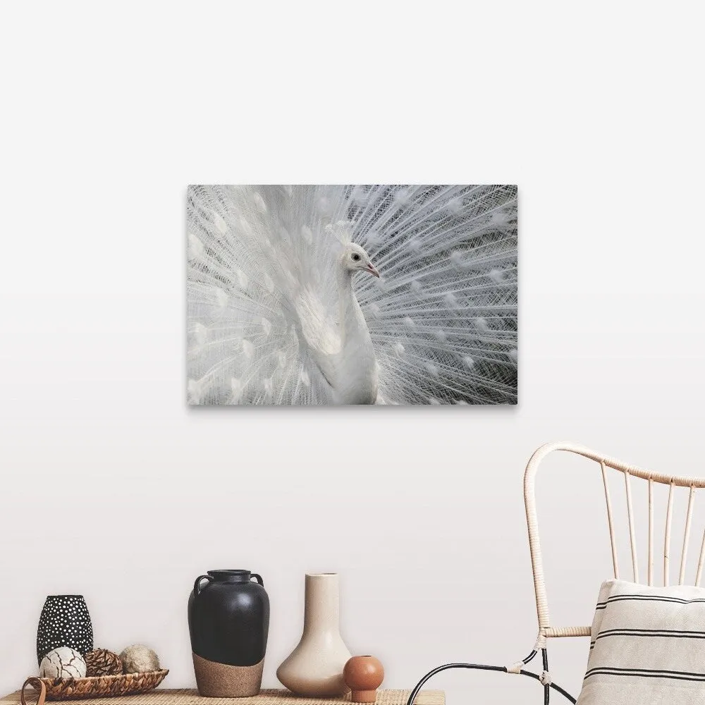 "As White As Snow" Canvas Wall Art