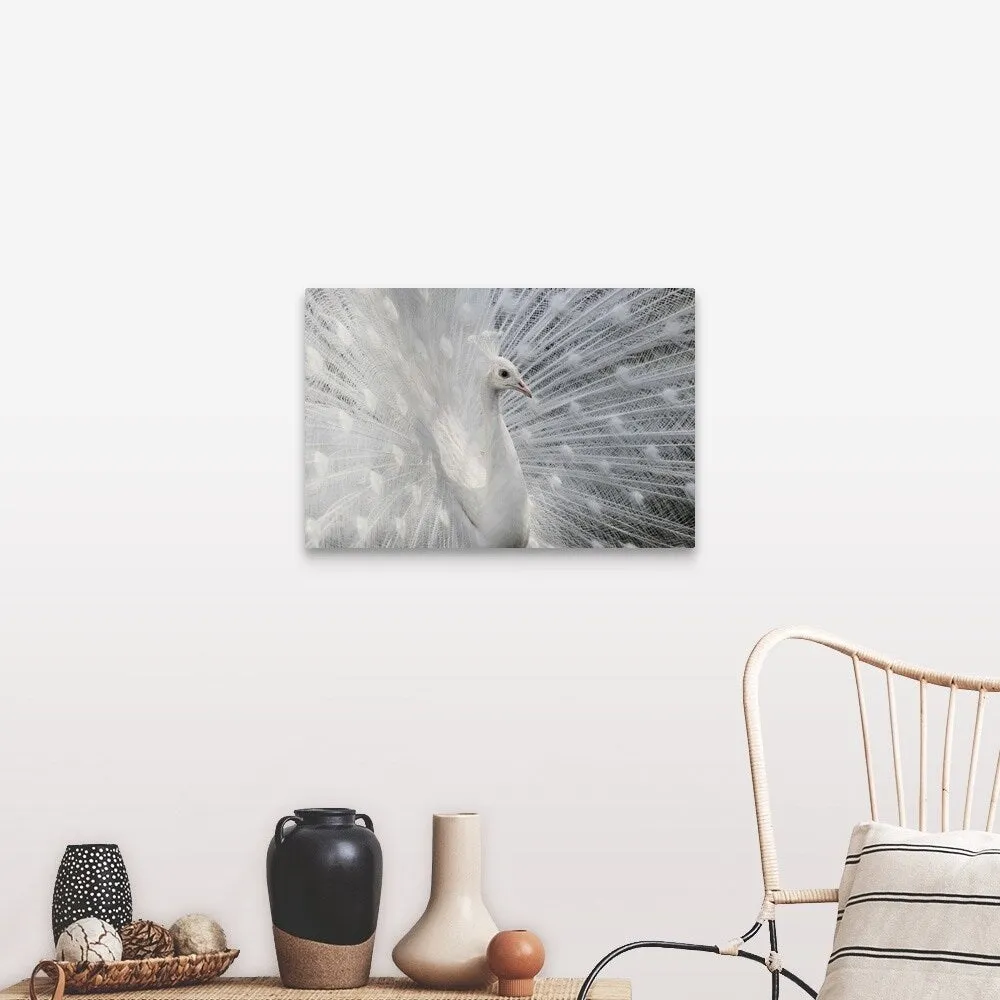 "As White As Snow" Canvas Wall Art