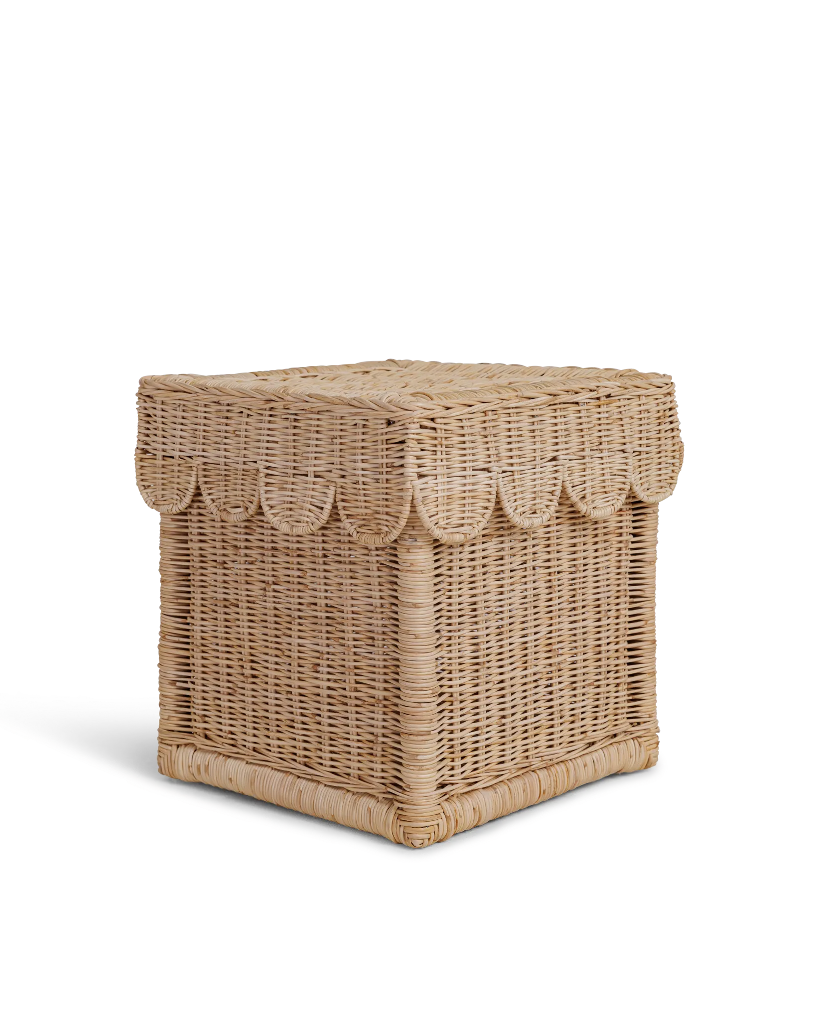 Scallop Storage Bin With Lid