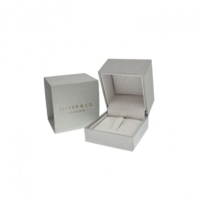 Silver & Co Elegant Silver Claw Set Cubic Zirconia Ash Ring SRG0097YZ